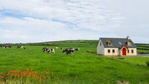 Eircode-10th-anniversaryjpg | Autoaddress