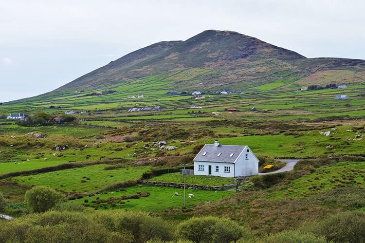 Eircode-non-unique-addresses | Autoaddress Non Unique Addresses Eircode