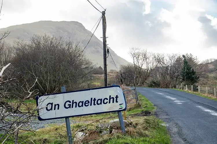 Handling Irish language addresses
